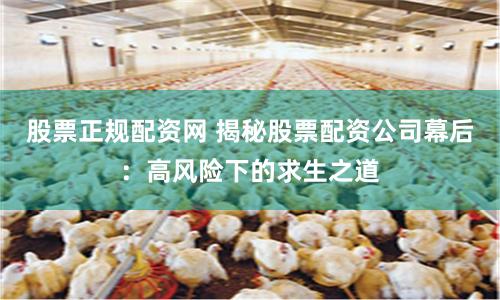 股票正规配资网 揭秘股票配资公司幕后：高风险下的求生之道