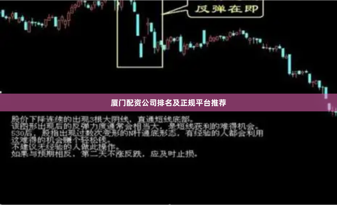 厦门配资公司排名及正规平台推荐