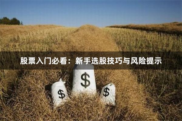 股票入门必看：新手选股技巧与风险提示